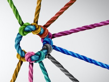 An Introduction to ORSC (Organisation Relationship & Systems Coaching) Team Coaching Approach