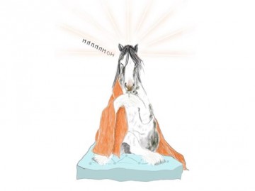 The horse and your inner "being" - Het paard en jouw innerlijke “zijn”
